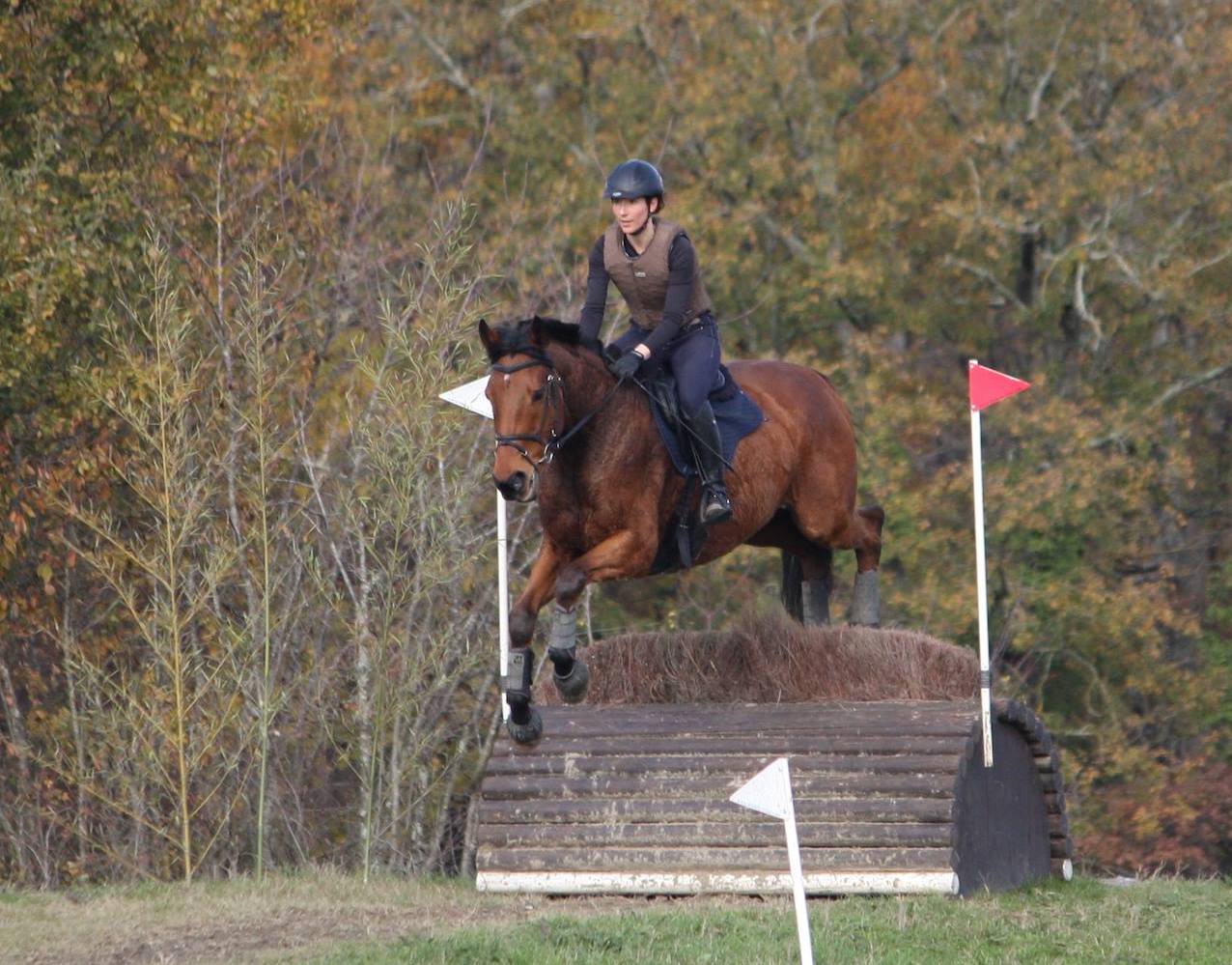 Une femme sur un cheval sautant un obstacle