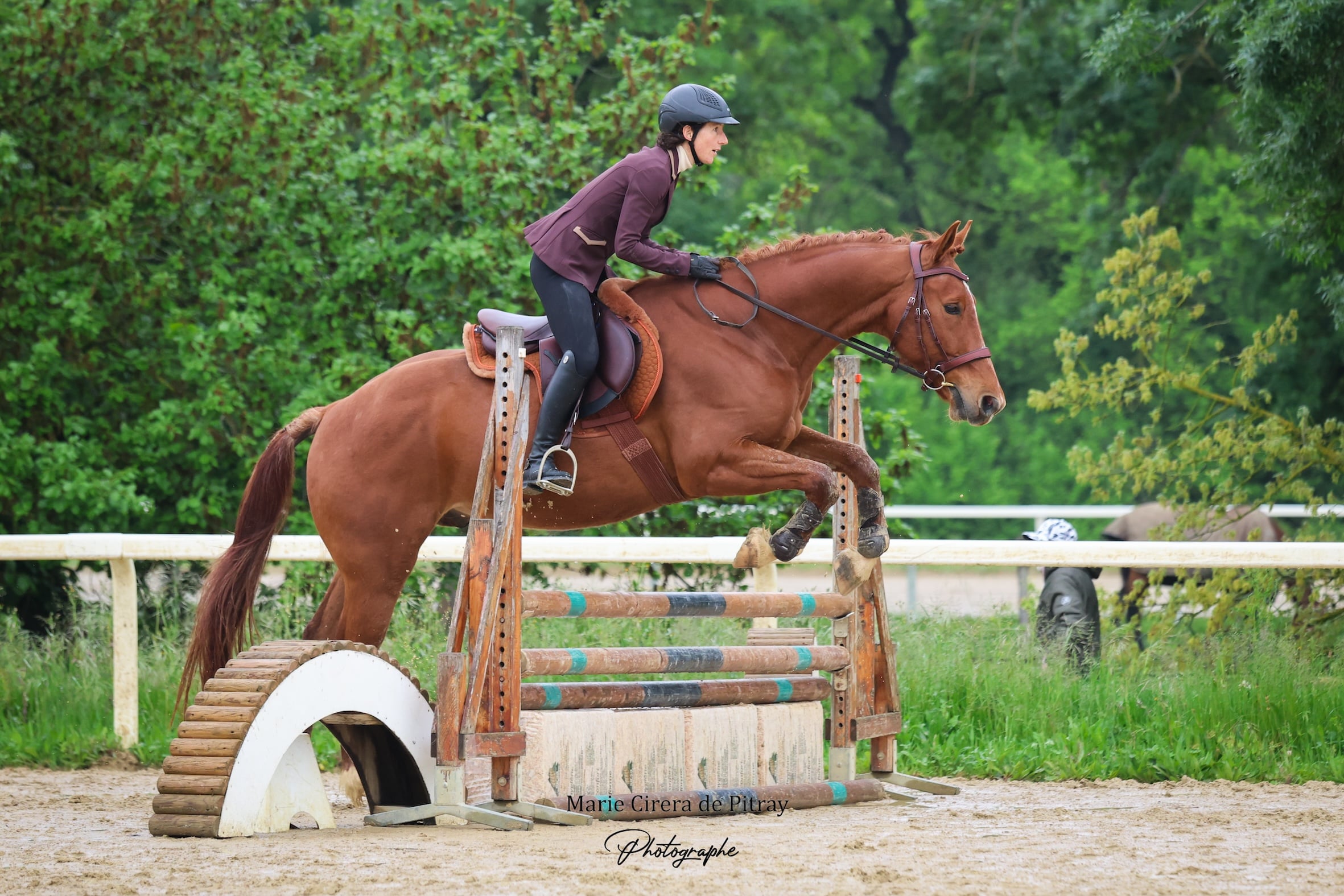 Une femme sur un cheval sautant un obstacle
