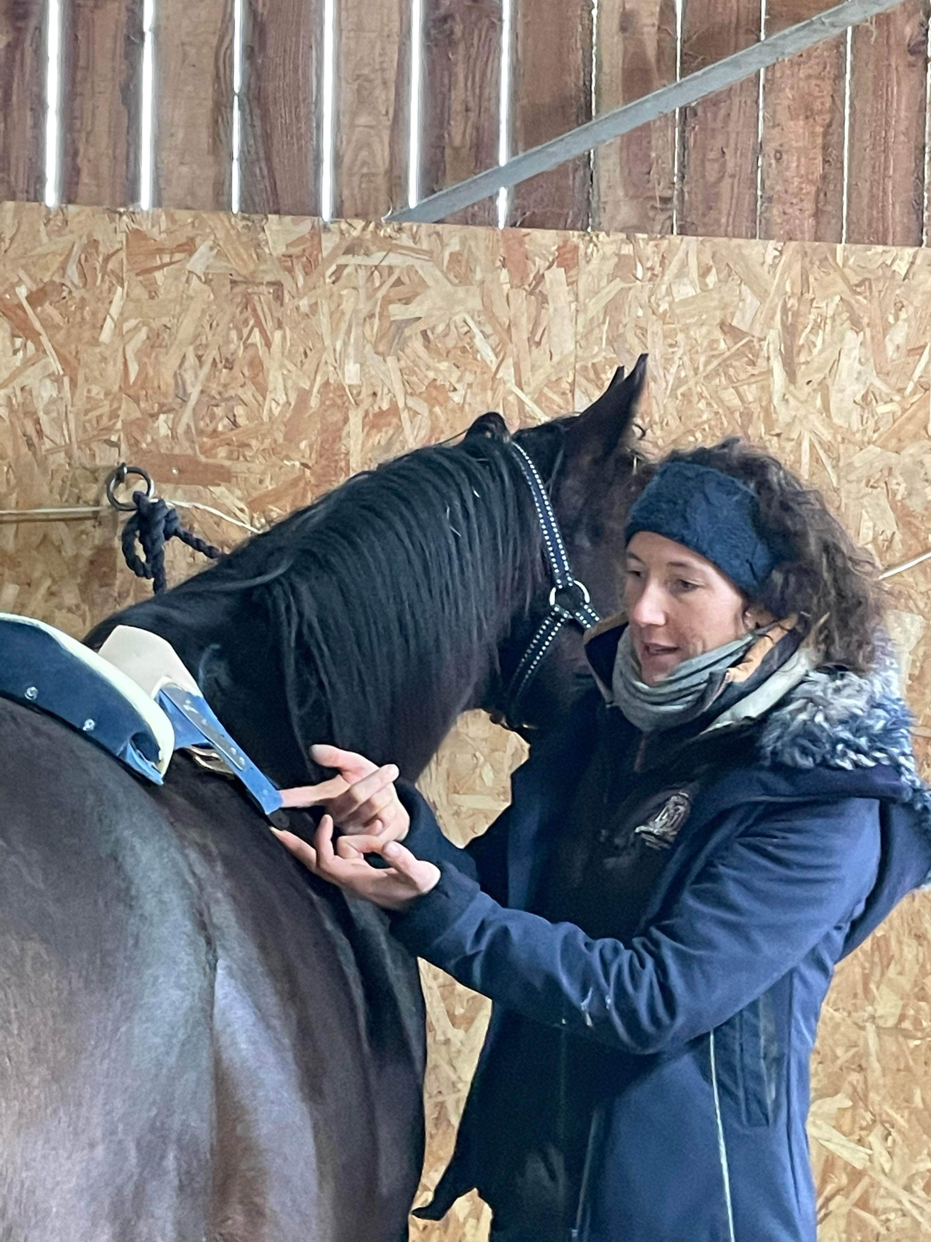 Une femme et un cheval